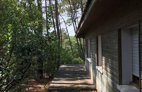 Le Canon Villa | Villa between pool and ocean - Le Canon (Cap Ferret)