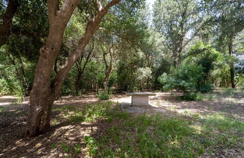 Cozzana Apartment | Villa Boschetti - Apt Imperia