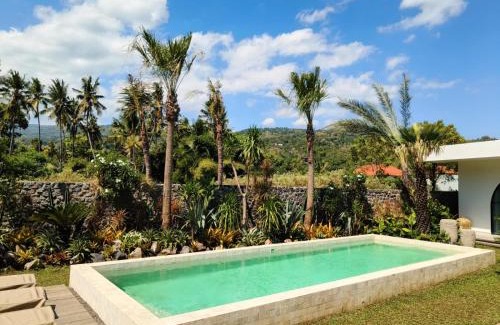 Kaliasem Villa | Villa Cactus is far from home but like your home Villa Cactus 3 BR isn't just a tropical villa in the heart of a coconut grove it's a feeling Next door Villa Sungai also offers 2 BR and 1 Bungalow Ability to accommodate 12 people