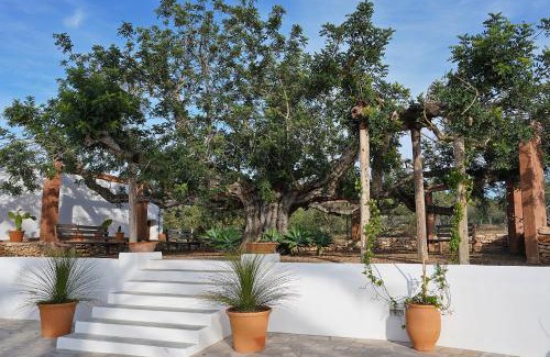 Sant Antoni de Portmany Villa | Villa Can Vicent