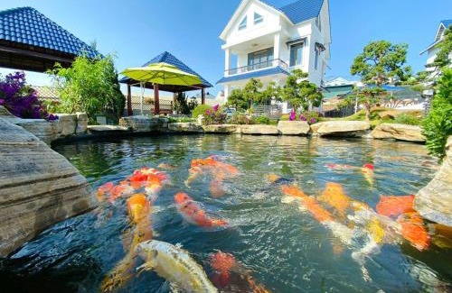 Da Lat Hotel | Villa &Coffee Garden