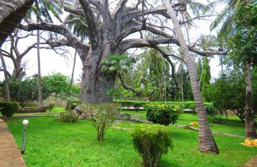 Malindi Villa | Villa con baobab e piscina