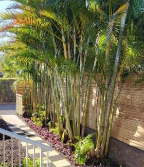 Grande Anse Villa | Villa Creole alamanda 2