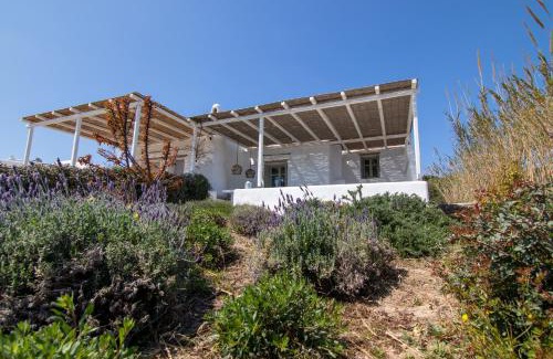 Santa Maria House | Villa Diorite by Rocks Estates