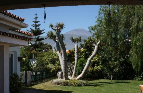 Santa Ursula Villa | Villa Dragos