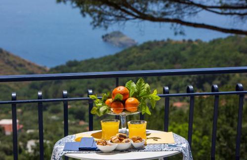 Sant'Agata sui Due Golfi Villa | Villa Fedora Sea&Stars