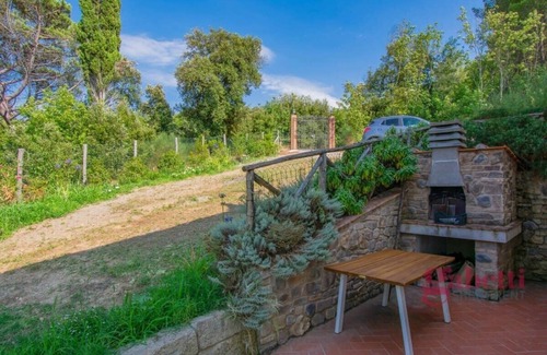 Palaia Villa | Villa Francia Summary