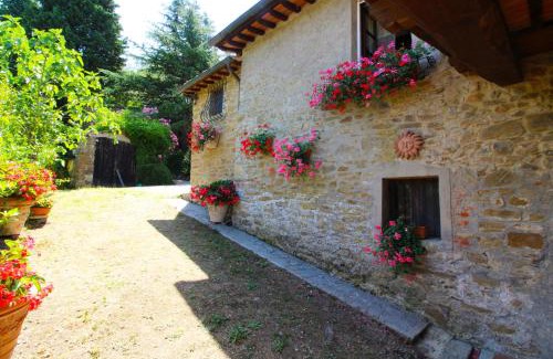 Monte San Savino Villa | Villa Gioiosa