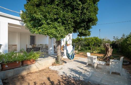 Il Monte House | Villa Grazia