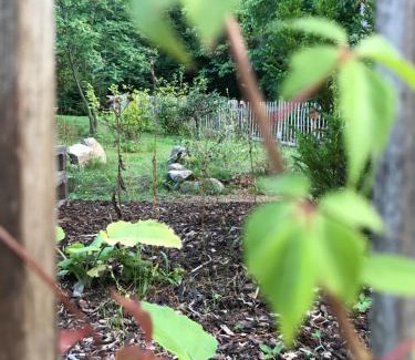 Thale Apartment | Villa Hanne mit Garten