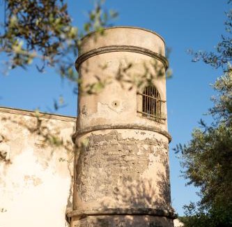 Schiazzano Bed & Breakfast | Villa il Turro