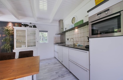 Wateren House | Villa in Drents-Friese Forest with Pool