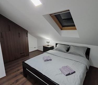 Banja Koviljaca Apartment | Villa Jelena