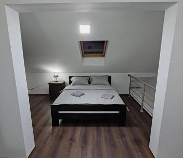 Banja Koviljaca Apartment | Villa Jelena