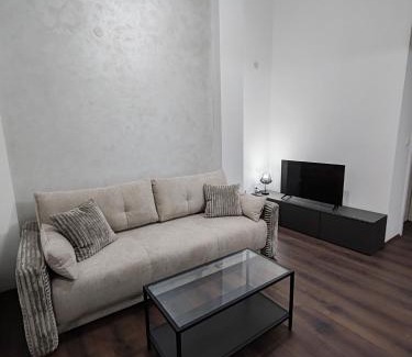 Banja Koviljaca Apartment | Villa Jelena