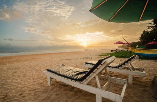 Habaraduwa Hotel | Villa Jungle & Wiener