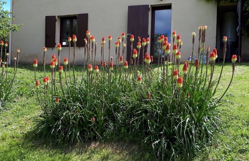 Castelnaud-la-Chapelle Villa | Villa La Fougasse with swimming pool