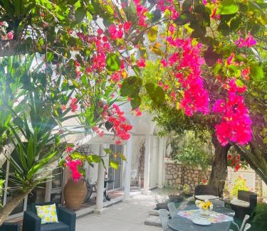 Marina Piccola Apartment | Villa La Perla Capri
