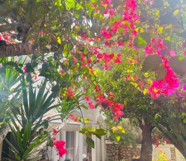 Marina Piccola Apartment | Villa La Perla Capri