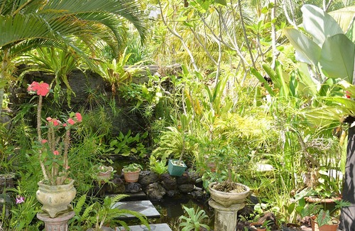 Lovina Villa | Villa Latebra