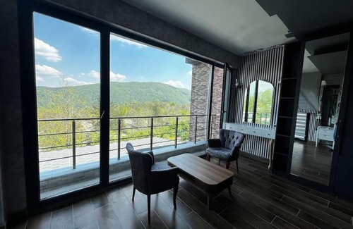 Sapanca Villa | Villa Memnun