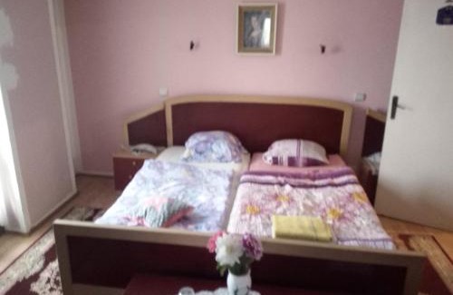 Bor Apartment | VILLA MI - JA Brestovacka Banja