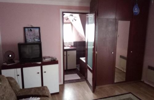 Bor Apartment | VILLA MI - JA Brestovacka Banja