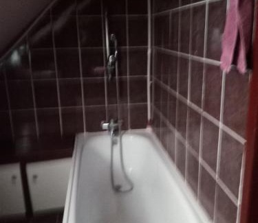 Bor Apartment | VILLA MI - JA Brestovacka Banja