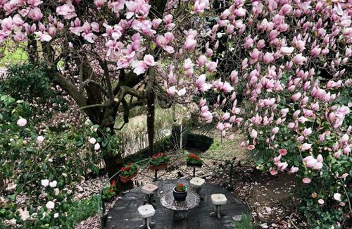 Luino House | Villa Monica