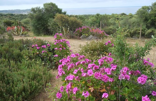 Sartene House | VILLA ON THE MURTOLI GULF 700 m from the beach 6 to 8 persons