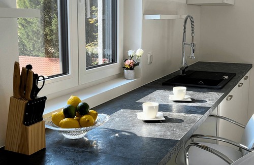 Ljubljana City Centre Apartment | Villa Riverside - Modern & Spacious Family Suite