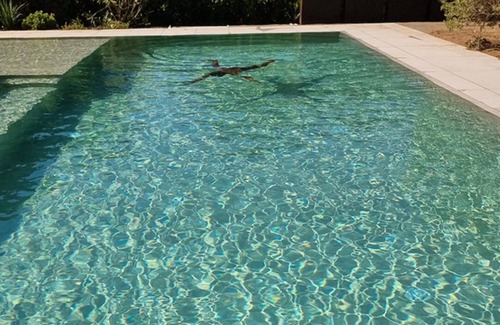 Notteri Villa | Villa Smart, pool, garden sea view between beaches and marina.