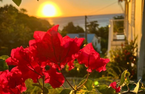 Rifflet Apartment | Villa Sunrise, sunny palm 10% Promotion