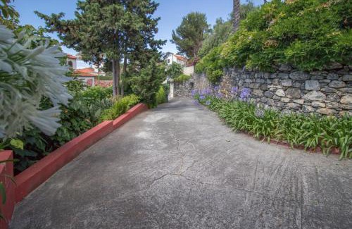 Santo Antonio Villa | Villa Wisteria