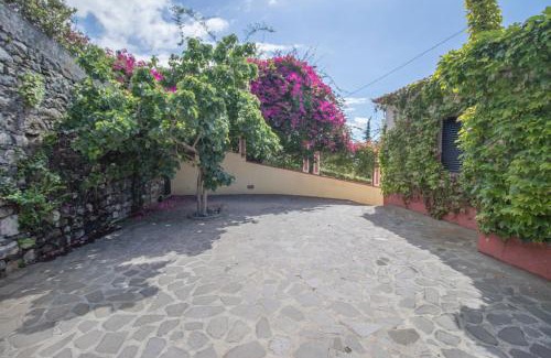 Santo Antonio Villa | Villa Wisteria