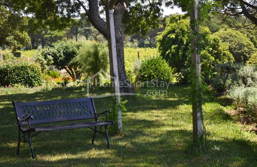 Anha House | Villa with 3 bedrooms and pool 2 km from the beach
