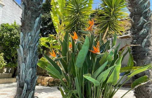 Puimisson Villa | Villa with terrific mediterranean garden located next to beaches and mountains