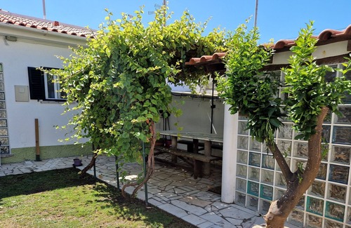 Cascais Ski Chalet | Vine Garden Villa