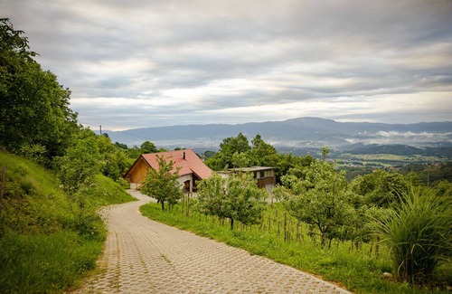 Srednje Grcevje Cottage | Vineyard cottage Škatlar 3