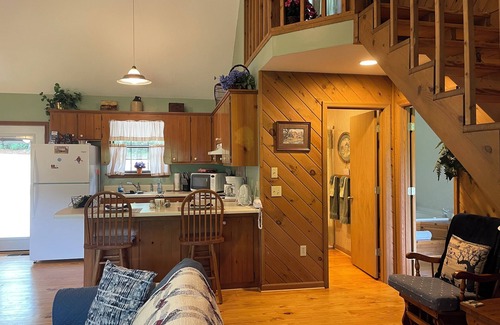 Hiawassee Cabin | Violet Cabin - Beautiful Mountain View, Rustic Charm w/Jacuzzi & Wood Fireplace