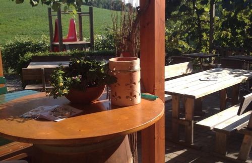 Loipersdorf bei Fuerstenfeld Apartment | VISITING THE WINZER in the thermal spa and wine region