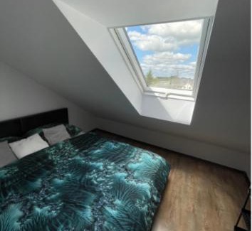 Augustow Apartment | VISTA Necko