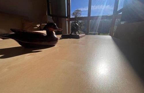 Comillas City Center Apartment | Vistas Sobrellano