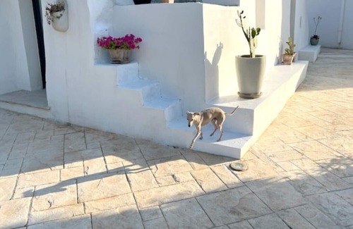 Francavilla Fontana Cottage | Vita Vivet Puglia