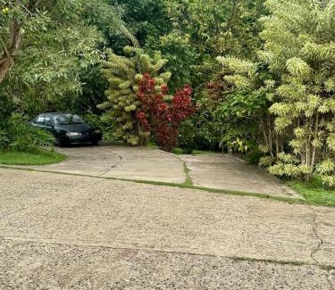 Cidra Apartment | Vive el encanto del campo