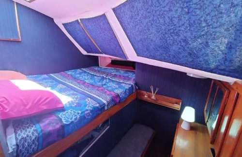 Marseillan Boat Rental | Vivez une expérience insolite sur notre grand catamaran de 12m au mouillage en face de Marseillan