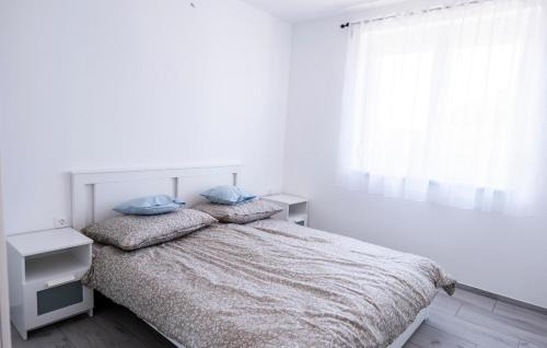 Ordacsehi Apartment | Vivien vendégház 2