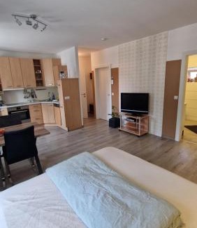 Ebersdorf Apartment | Voll ausgestattet, Nähe Heiltherme Bad Waltersdorf