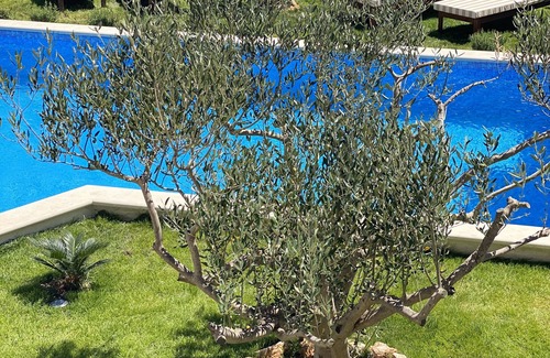 Bol Villa | Vrbo Property
