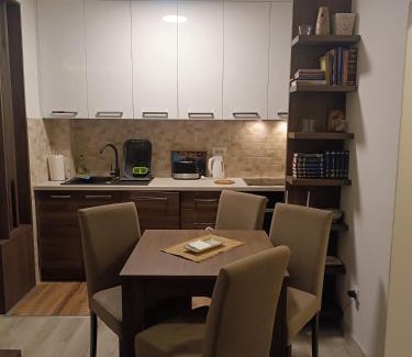 Banja Koviljaca Apartment | Vukov Apartman